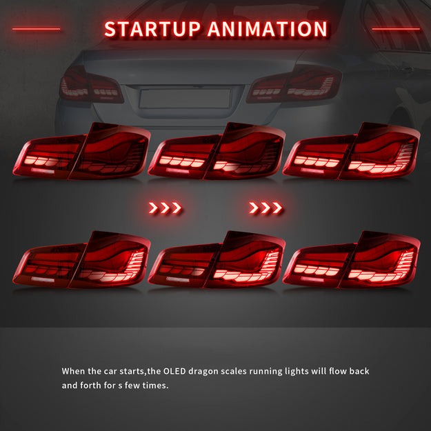VLAND OLED Tail Lights For BMW 5 Series F10 F18 2011-2017 with Start-up Animation Running Lights(Not For F11/ F07)