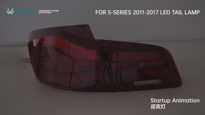 VLAND OLED Tail Lights For BMW 5 Series F10 F18 2011-2017 with Start-up Animation Running Lights(Not For F11/ F07)