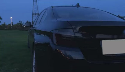 VLAND OLED Tail Lights For BMW 5 Series F10 F18 2011-2017 with Start-up Animation Running Lights(Not For F11/ F07)